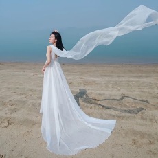 批发新款女装新疆青海西藏沙漠海岛旅行雪纺V领香槟金露背<b class='q'>拖</b><b class='q'>尾</b>长裙