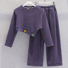 批发<b class='q'>女</b><b class='q'>童</b>网红运动套装秋装2026新款洋气长袖长裤霸气大童儿童两件套