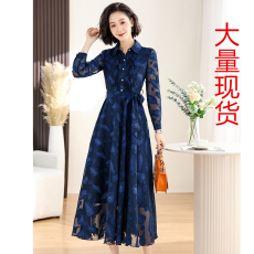 批发实拍 2026春款修身长袖提花<b class='q'>雪纺</b><b class='q'>连衣裙</b>气质大摆长裙女