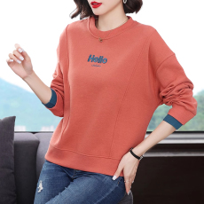 批发2025新款卫衣女韩版宽松短款春秋薄款秋季小众早秋圆领上衣