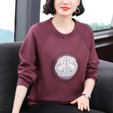 批发<b class='q'>妈妈装</b>2026春季新款长袖女高级感上衣小众设计宽松深紫色卫衣百搭