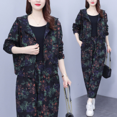 批发秋装新款复古大码女装休闲套装女装宽松显瘦连帽外套<b class='q'>哈伦裤</b>两件套