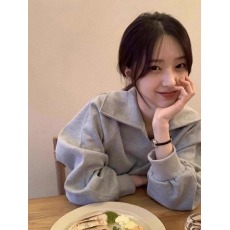 批发<b class='q'>官</b>图 华棉复合/320克 <b class='q'>韩国</b>chic秋季小众高级感翻领卫衣女