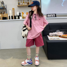 批发<b class='q'>女</b><b class='q'>童</b>t恤儿童套装夏季2026新款网红短袖上衣夏装女孩休闲短裤衣服