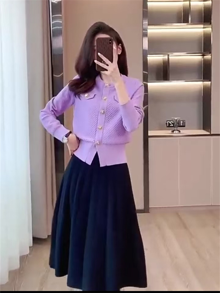 RY1285# 潮流气质纯色上衣半裙套装2024新款女装秋冬时尚针织小洋气...