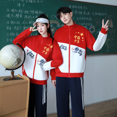 批发大量有货 情侣装套装小学生初中生高中生中国少年班服校服表演服