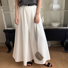 批发尺寸已更新 韩国chic百搭气质压褶小众设计感半裙A字长裙配腰带