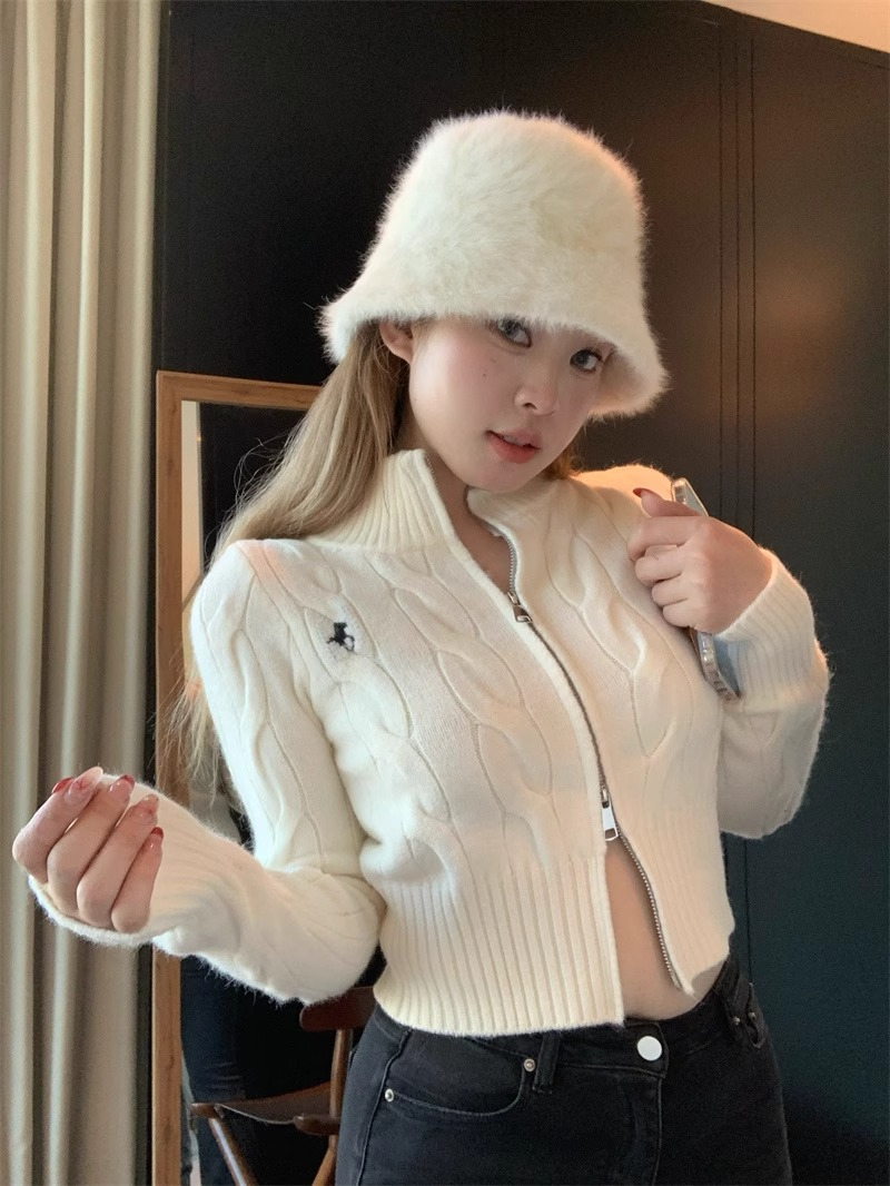 꽈배기 자수 스탠드 칼라 스웨터 여성 코트 겨울 더블 지퍼 니트 오픈 가디건 화이트 몸매 가꾸기 쇼트 스타일 긴팔 맨위