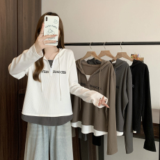 批发实拍2026春装新款胖mm大码女休闲百搭拼接刺绣连帽针织上衣