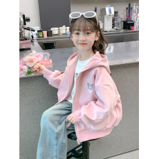 批发女童卫衣2026新款洋气秋装女孩连帽上衣儿童装春秋季时髦大童衣服