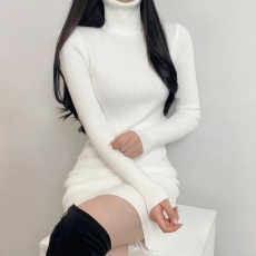 批发已出货  韩国chic秋冬新款包臀毛衣裙子内搭打底高领针织连衣裙女