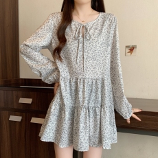 批发已出货实拍2025<b class='q'>秋</b>装女装气质高级感小个子v领碎花长袖连衣裙