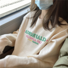 批发韩国外贸新款宽松韩版美式小众甜酷卫衣女加绒加厚盐系套头3065