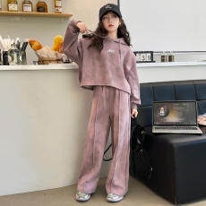 批发<b class='q'>女</b><b class='q'>童</b>休闲<b class='q'>套装</b>春秋装2026新款儿童<b class='q'>女</b>孩<b class='q'>大</b>童时髦运动卫衣卫裤两件套