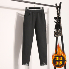 批发实拍冬新款弹力大码小脚女长裤胖MM外穿加绒加厚高腰韩版松紧腰