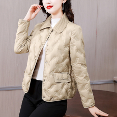 批发小个子妈妈冬装时尚轻薄<b class='q'>羽绒服</b>短款<b class='q'>中老年</b>女洋气