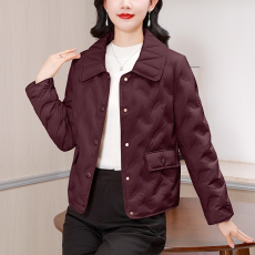 批发小个子妈妈冬装时尚轻薄<b class='q'>羽绒服</b>短款<b class='q'>中老年</b>女洋气