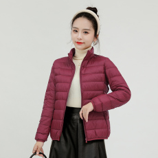 批发白鸭绒羽绒服冬季新款轻薄女士休闲防风保暖连帽短款纯色内穿外套