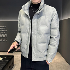 批发24年国标冬季新款立领羽绒服男士白鸭绒羽绒服短款加厚保暖外套