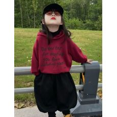 批发<b class='q'>儿童</b>秋冬套装洋气时髦宽松连帽休闲卫衣<b class='q'>哈伦裤</b>两件套