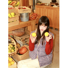 批发两面双穿羊羔毛叠穿格子棉服马甲背心女秋冬独特超好看外穿马夹