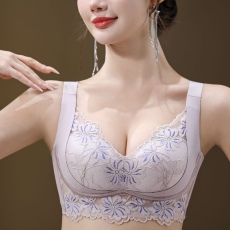 批发内衣女调整型提胸聚拢小胸显大反重力提拉上托防下垂无钢圈文胸罩
