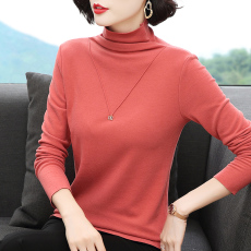 批发德绒半高领<b class='q'>打底衫</b>女秋冬新款修身内搭加绒加厚<b class='q'>妈妈</b>装长袖T恤上衣