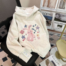 批发实拍华棉刷毛复合卫衣女2025春秋新款薄连帽长袖t恤上衣韩版<b class='q'>女装</b>