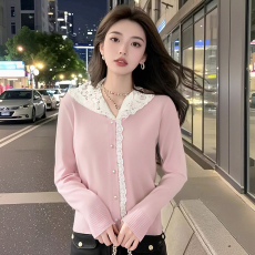 批发AI图 大货 2025秋装新款设计感洋气<b class='q'>蕾丝</b>花边连帽上衣打底针织衫女