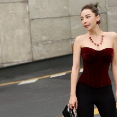 批发新款丝绒法式鱼骨胸衣外穿收腹束腰<b class='q'>塑</b><b class='q'>身</b>内搭抹胸上衣