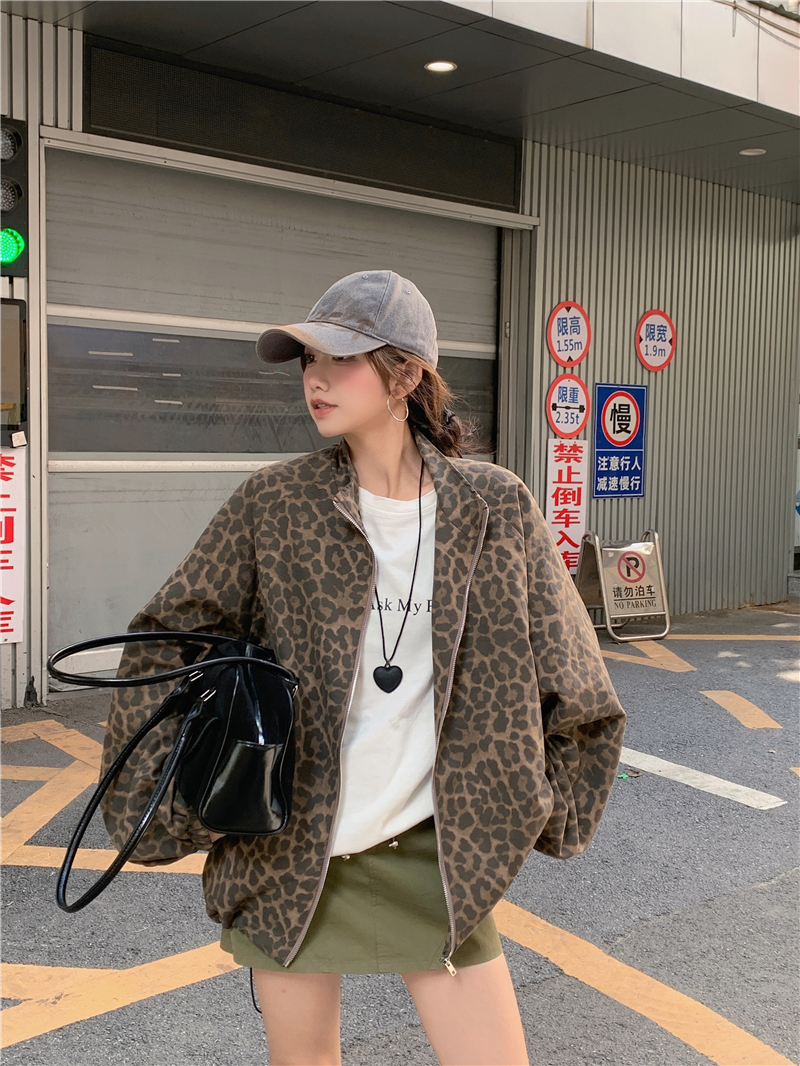 칼레비+스튜디오 대표이미지