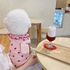 批发宠物草莓打底衫泰迪比熊贵宾小型犬狗狗衣服幼猫猫咪春秋新款服装