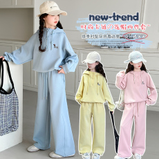 批发女童连帽卫衣<b class='q'>套装</b>2026新款春装女孩子洋气刺绣小狗运动<b class='q'>休闲</b>两件套