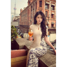 批发新中式改良旗袍女高级感名媛<b class='q'>青花瓷</b>印花<b class='q'>连衣裙</b>气质长裙性感包臀裙