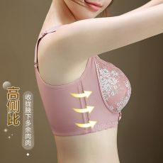 批发欧美跨境大码文胸 精致蕾丝花边 U型美背 可调节大胸大码内衣