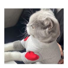 批发春秋冬季猫咪狗狗爱心保暖卫衣宠物衣服泰迪比熊博美小型犬打底衫