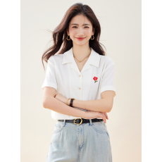 批发实拍有2026<b class='q'>夏季</b>款法式简约西装领刺绣衬衫女遮肚小众通勤上衣