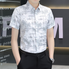 批发轻商务夏季新款男士短袖<b class='q'>衬衫</b>韩版潮流帅气修身<b class='q'>衬衣</b>青年休闲寸衫