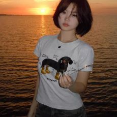 批发纯棉穿鞋小狗正肩<b class='q'>短袖</b>国潮流修身T恤女美式衣服夏季休闲印花上衣