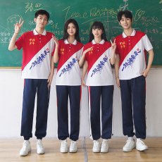 批发<b class='q'>实拍</b>班服套装夏季学院风中国polo领短袖小学生毕业季<b class='q'>运动</b>t恤校服