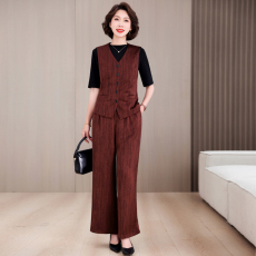 批发实拍 <b class='q'>春</b>夏装国风两件套2025新款洋气中老年女装高贵小西服套装