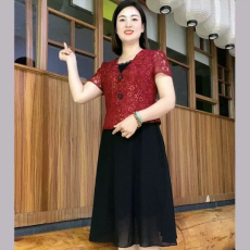 批发2025夏季新款时尚洋气短袖蕾丝连衣裙妈妈气质拼接显瘦中长款裙子