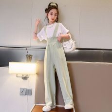 批发女童套装夏季新款两件套短袖长裤小女孩<b class='q'>背带裤</b>短袖<b class='q'>儿童</b>套装潮