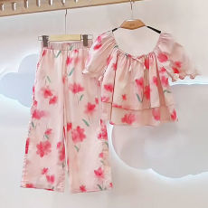 批发<b class='q'>女童</b>夏<b class='q'>季</b>小清新<b class='q'>短袖</b><b class='q'>套装</b>2026夏季爆款甜美公主风洋气碎花阔腿裤潮