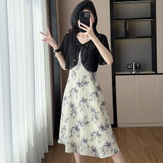 批发大码<b class='q'>裙子</b>2026夏季韩版时尚披肩印花雪纺拼接显瘦洋气假两件连衣裙