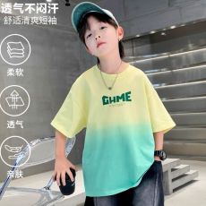 批发<b class='q'>男</b><b class='q'>童</b><b class='q'>夏装</b><b class='q'>纯棉</b>短袖<b class='q'>T</b><b class='q'>恤</b>2025新款中<b class='q'>大</b>儿<b class='q'>童</b>装夏季吊染半袖体恤上衣潮<b class='q'>t</b>