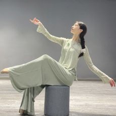 批发2025现代舞蹈服套装女新款成人中国舞直筒阔腿裤古典舞练功服形体