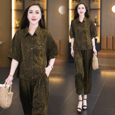 批发时尚气质套装女2026夏季新款洋气印花减龄显瘦中袖<b class='q'>衬衫</b>休闲两件套