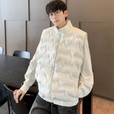 批发秋冬季羽绒棉服<b class='q'>马甲</b>男2025新款潮流外穿纯色坎肩立领工装