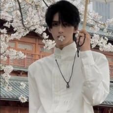 批发新中式男装国风垫肩衬衫男高级感小众中山<b class='q'>唐装</b><b class='q'>汉服</b>长袖衬衣外套潮